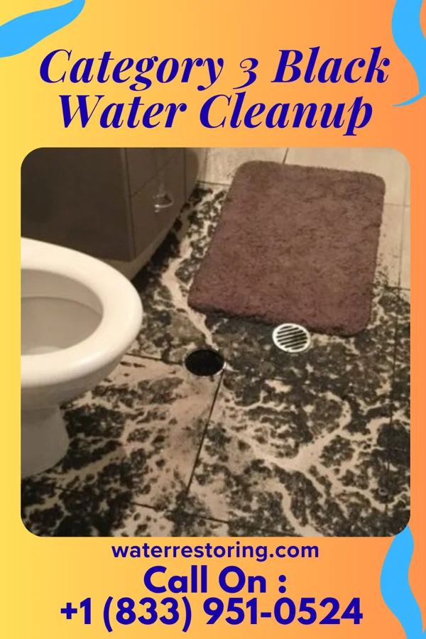 Category 3 Black Water Cleanup in Floris, VA