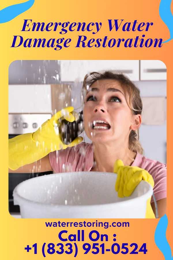 Emergency Water Damage Restoration in Floris, VA