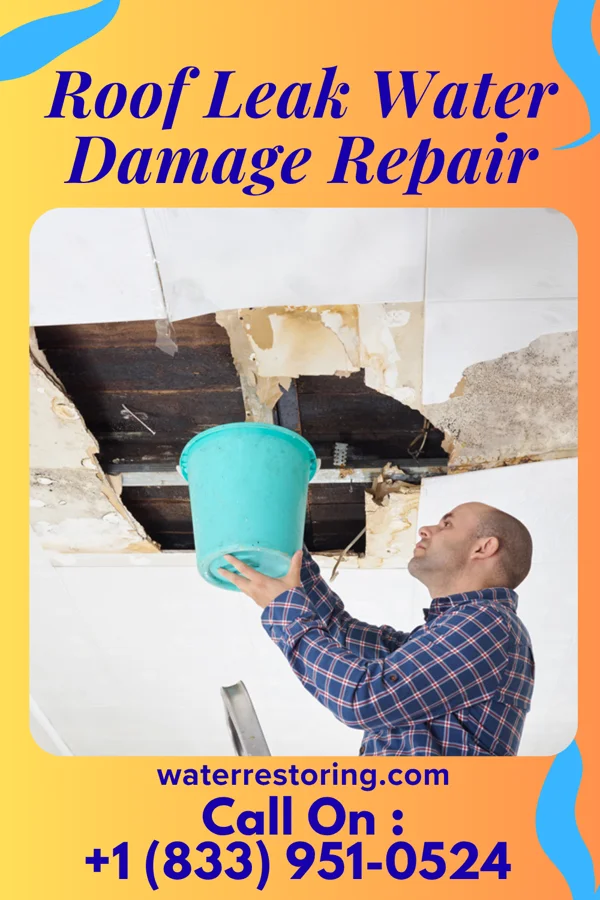 Roof Leak Water Damage Repair in Floris, VA