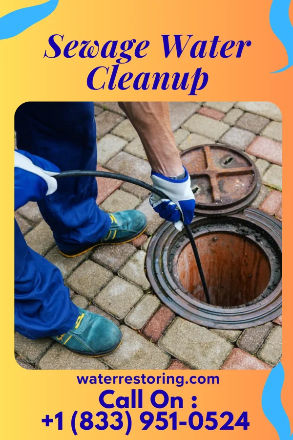 Sewage Water Cleanup in Floris, VA